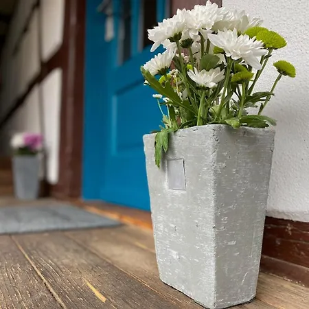 아파트 Traumhaft Wohnen Im Haus Blum *